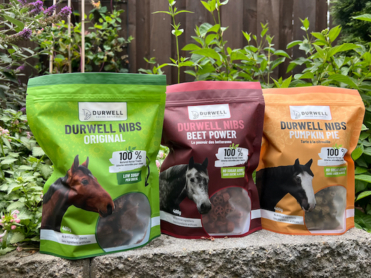 DURWELL EQUINE NATURALS  Nibs Horse Treats: Beet, Pumpkin Pie and Original Power (no sugar added)